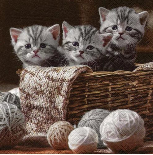 Ti-Flair Szalvéta 33X33 cm 3 Rétegű 20 lap/Csomag Striped Kittens 371056