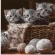 Ti-Flair Szalvéta 33X33 cm 3 Rétegű 20 lap/Csomag Striped Kittens 371056